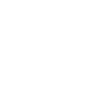 Icon of a team